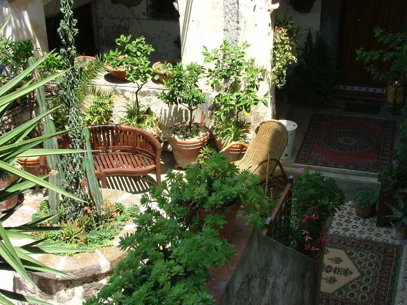 Orchid Corner Guesthouse Meta Zewnętrze zdjęcie