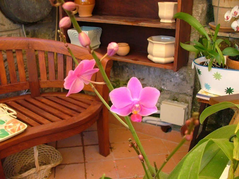 Orchid Corner Guesthouse Meta Zewnętrze zdjęcie